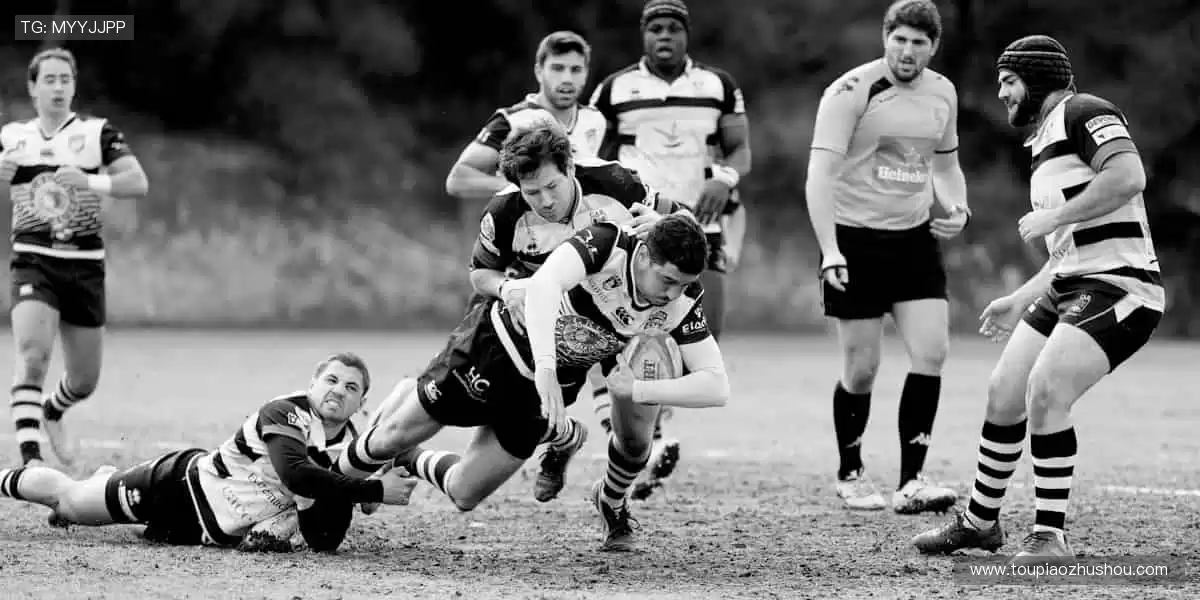 🏆【限量首发】冠军同款,专属你的荣耀珍藏!