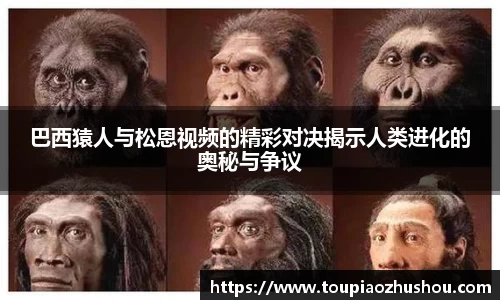 星空.综合体育(中国)官方网站