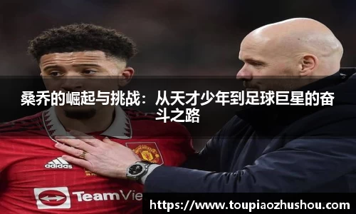 星空.综合体育官网