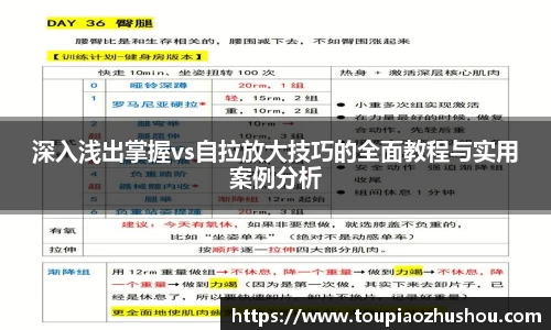 深入浅出掌握vs自拉放大技巧的全面教程与实用案例分析